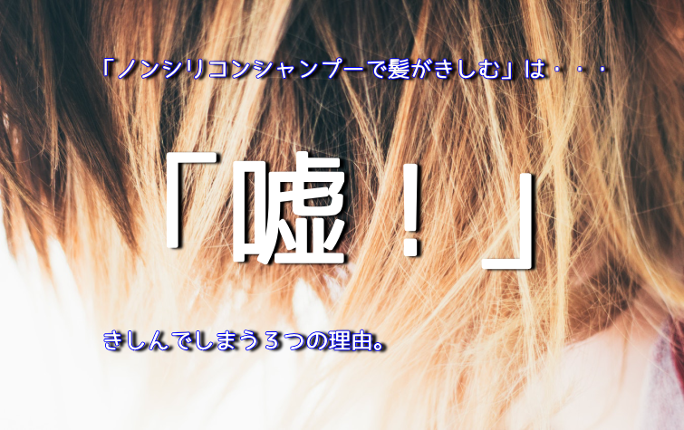 ノンシリコンシャンプーできしむは大嘘です 髪がきしむ３つの理由はこれだ 元美容師mの髪のお悩み撲滅ブログ